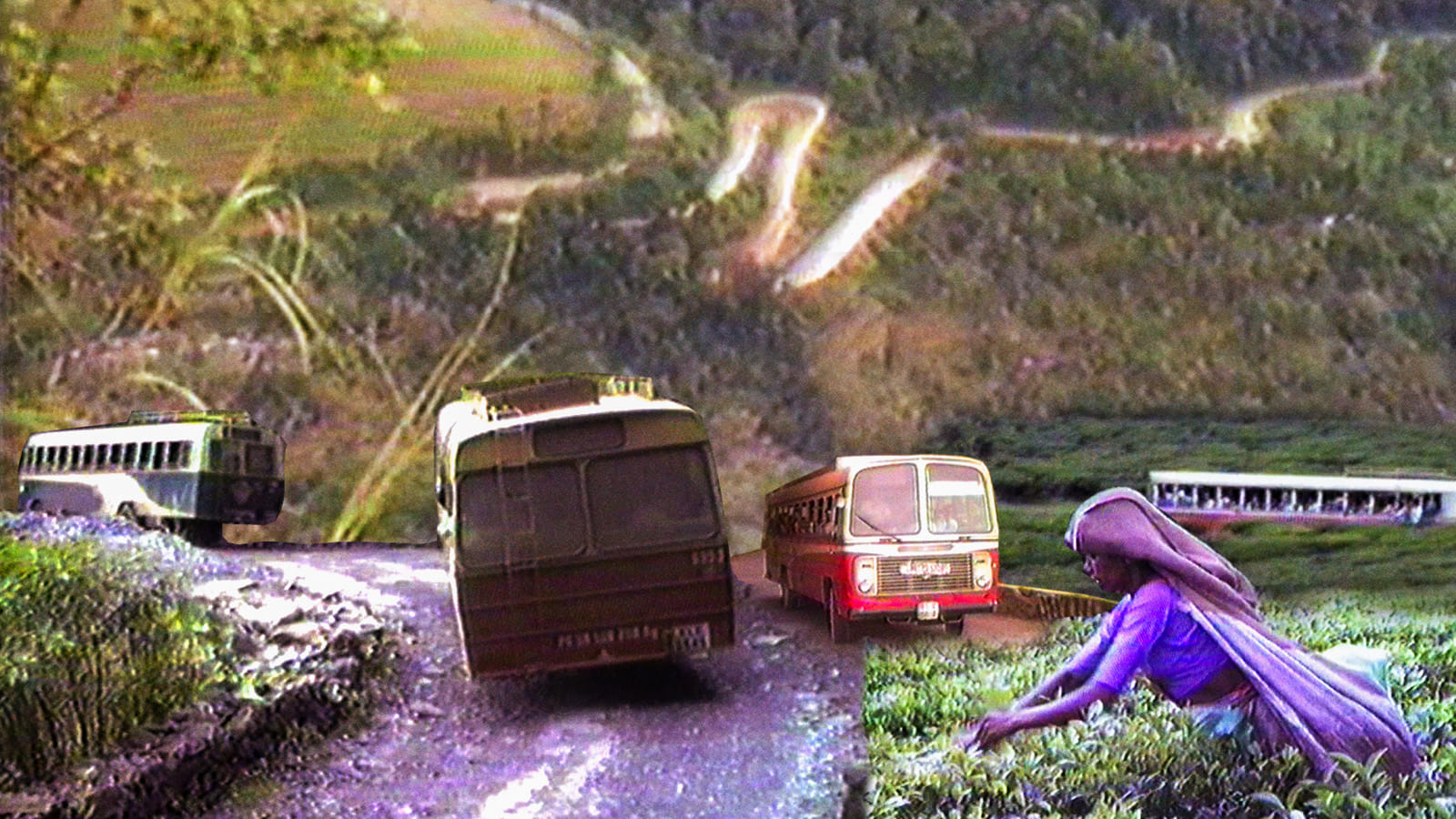 Old wayanad rare video